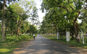 dooars elephant safari