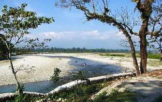 dooars elephant safari